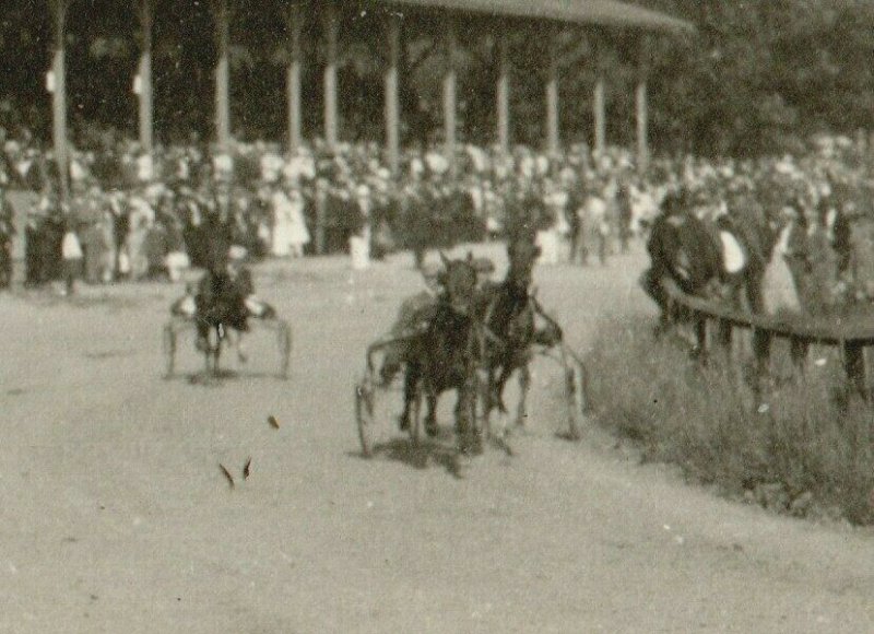 rppc c1910 HARNESS RACE Underway Horse Racing Trotter Trotting Sulky Grandstand 