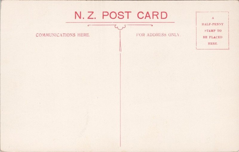 Auckland New Zealand Sir George Grey's Statue Queen & Wakefield St Postcard H52