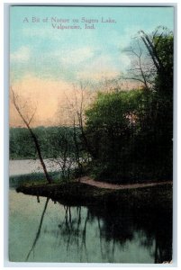 1910 Bit Nature Sagers Lake Valparaiso Indiana Vintage Antique Unposted Postcard 