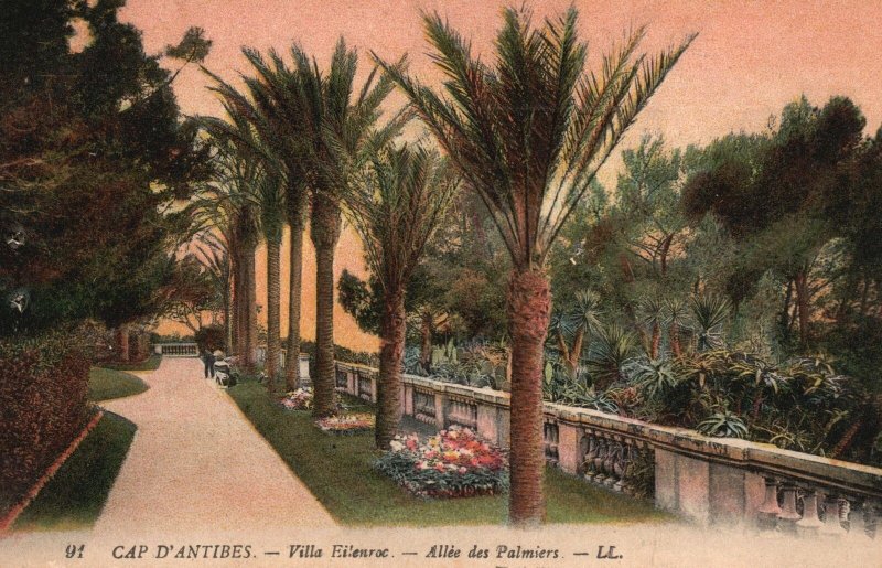 Vintage Postcard 1910's Cap D' Antibes Villa Eilenroc Alley Royal Palm Trees FR