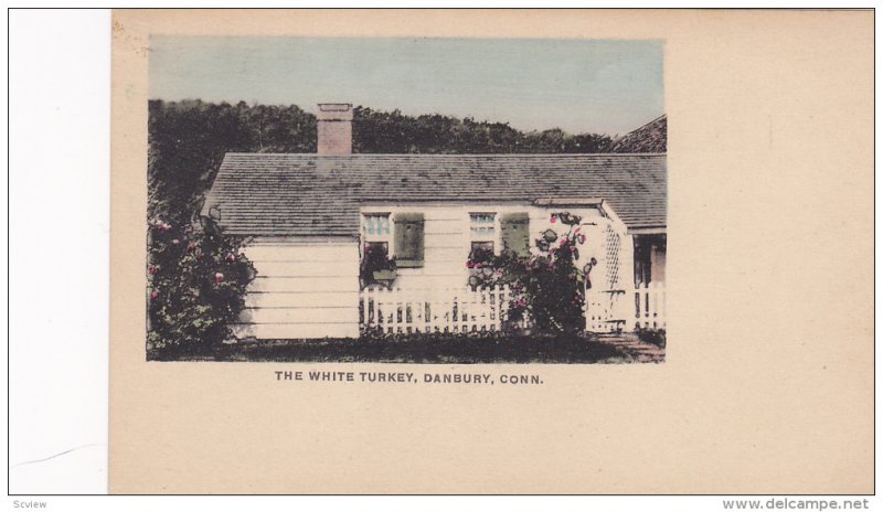 The White Turkey, Dansbury, Connecticut, 00-10s