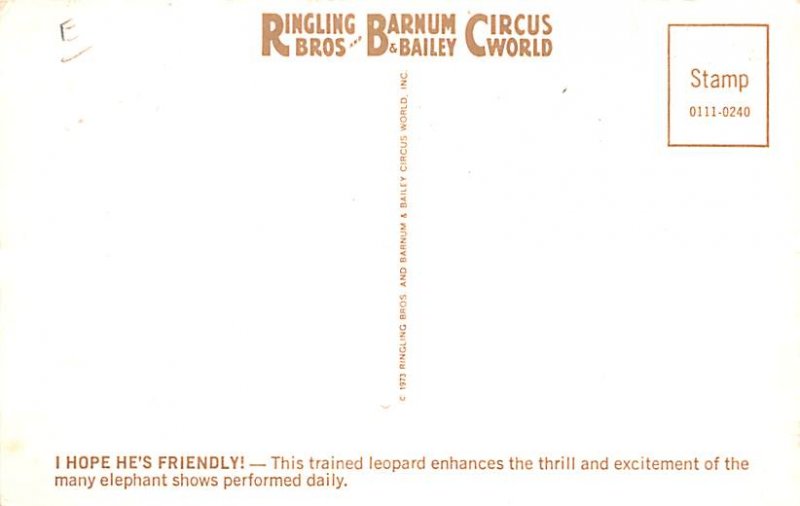 Ringling Brothers Varnum & Bailey Circus Post Cards Trained Leopard with Elep...