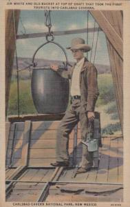 LP07  New Mexico, NM, postcard, Carlsbad Cavern National 