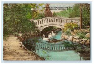 1938 Swans Returning From The End of Lake Westfield NJ Hand Colored Postcard