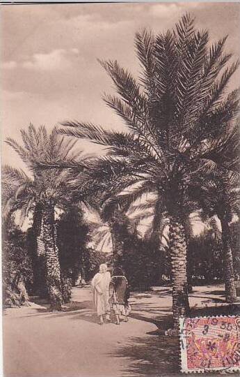 Tunisia Sous les Palmiers 1935