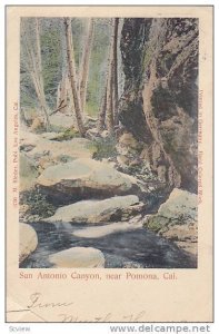 San Antonio Canyon, near Pomona, California, PU-1906