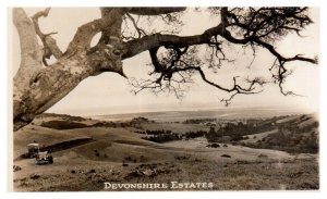 Devonshire Estates England RPPC Postcard
