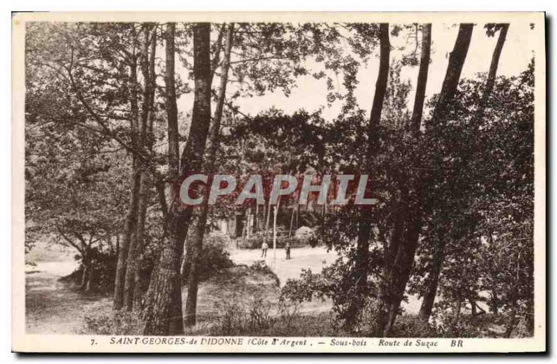 Old Postcard Saint Georges de Didonne Cote d'Argent Undergrowth Road Suzac