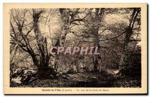 Old Postcard Combs L aVille A Corner of the forest of Senart