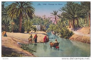 People Passing Through The River, Donkeys, Passage De l'Oued, Algeria, Africa...