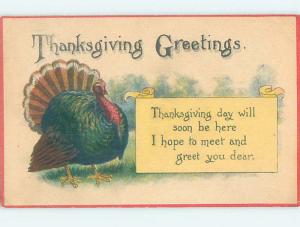 1916 thanksgiving COLORFUL TURKEY o4796