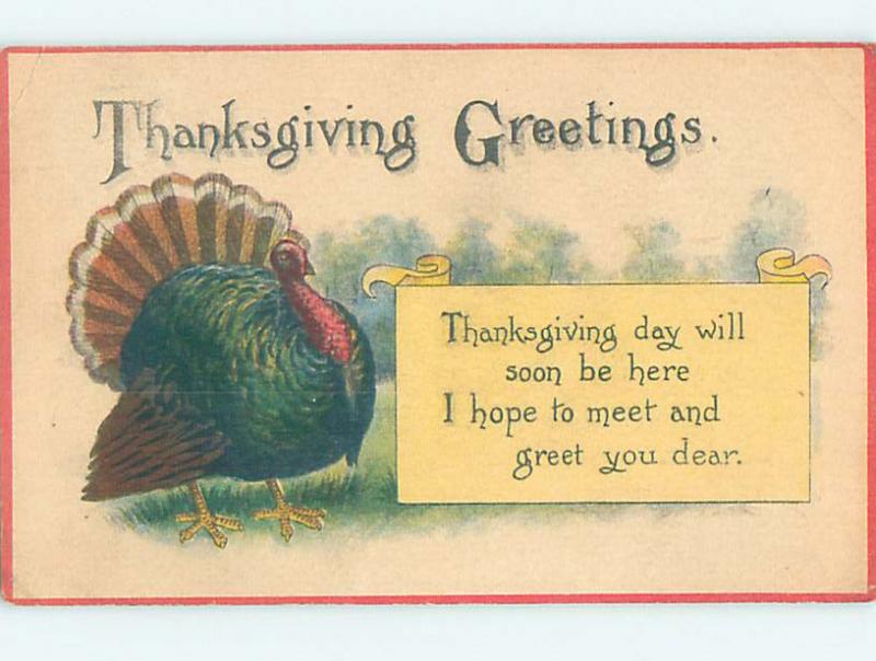 1916 thanksgiving COLORFUL TURKEY o4796