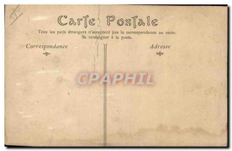 Old Postcard Cats Cat Kitten