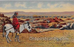 Hopi Indian & Burro Painted Desert Unused 