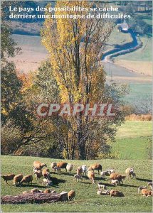 Old Postcard The Land of Possibilities to cover behind a Mountain Sheep Diffi...