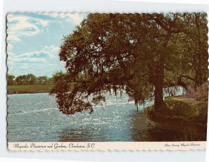 Postcard Magnolia Plantation and Gardens, Charleston, South Carolina