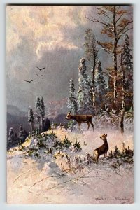 Deer Mountain View Birds Snow Postcard Signed Muller Wildlife HKM 419 Germany