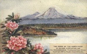 Mt. Ranier and Rhododendron - Mt. Rainer National Park, Washington