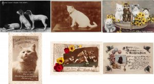 lots33  collection dog cat all pre 1920 uk lot 6 ppc