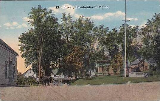 Maine Bowdoinham Elm Street 1921 Curteich