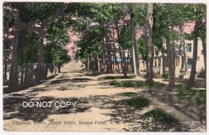 Chestnut Grove, Shore Drive, Bemus Point NY