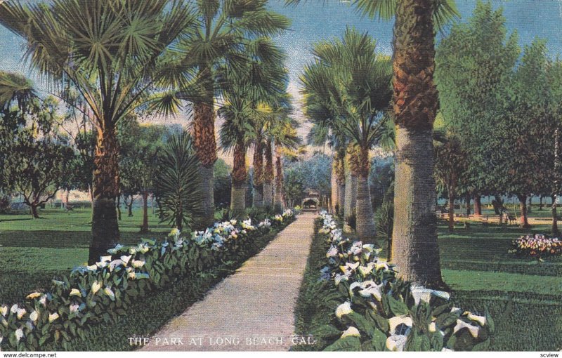 LONG BEACH, California, 1900-1910s, The Park at Long Beach