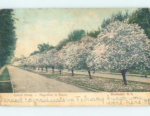 Pre-1907 STREET SCENE Rochester New York NY A0250