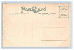 C.1907-10 Summrt House Bever Park, Ceader Rapids, Iowa. F76E