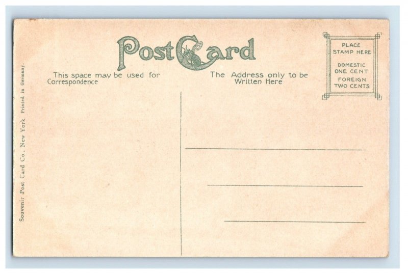 C.1907-10 Summrt House Bever Park, Ceader Rapids, Iowa. F76E