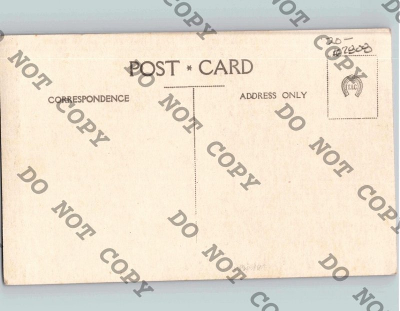 c1930 African Man Covered Snakes Cobra Viper Boa Python RPPC Real Photo Postcard