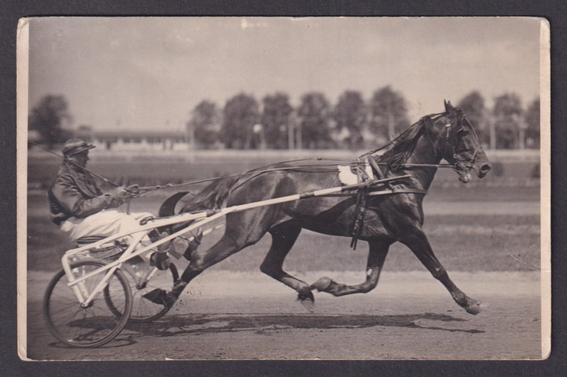 Vintage postcard GERMANY, Horse show 1931, Sports