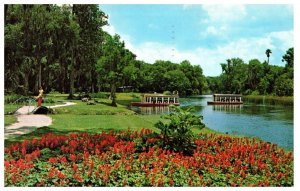 Glass Bottom Boats on Silver River Florida Postcard Posted 1965