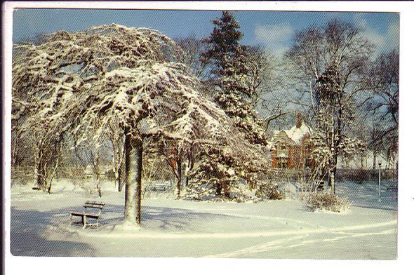 Winter Scene, Snow, Halifax, Nova Scotia, Canada