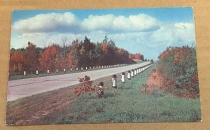 UNUSED POSTCARD - U.S. HI-WAY 6