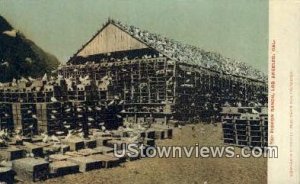 Pigeon Ranch - Los Angeles, CA