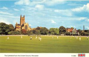 uk39740 cathedral from the cricket ground worcester sport uk