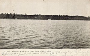 Park Rapids Minnesota MN~Fish Hook Lake~1907 Postcard