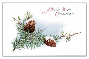 Pine Bough Pine Cones Merrie Merrie Christmas Pink Of Perfection DB Postcard R10