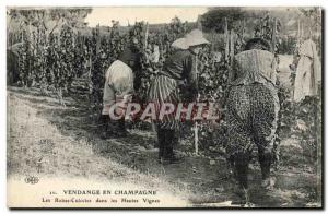 Old Postcard Folklore Wine Vintage Champagne Vineyards in Champagne Dresses P...