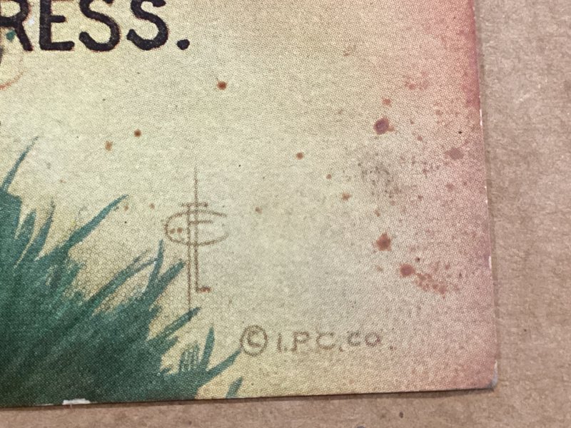 Black Sheep signed Grade 3