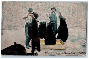1910 Animals On Lords Park Trainor Feeding Elgin Illinois IL Antique Postcard