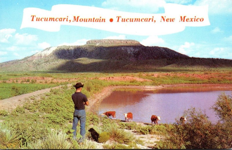 New Mexico Tucumcari Mountain