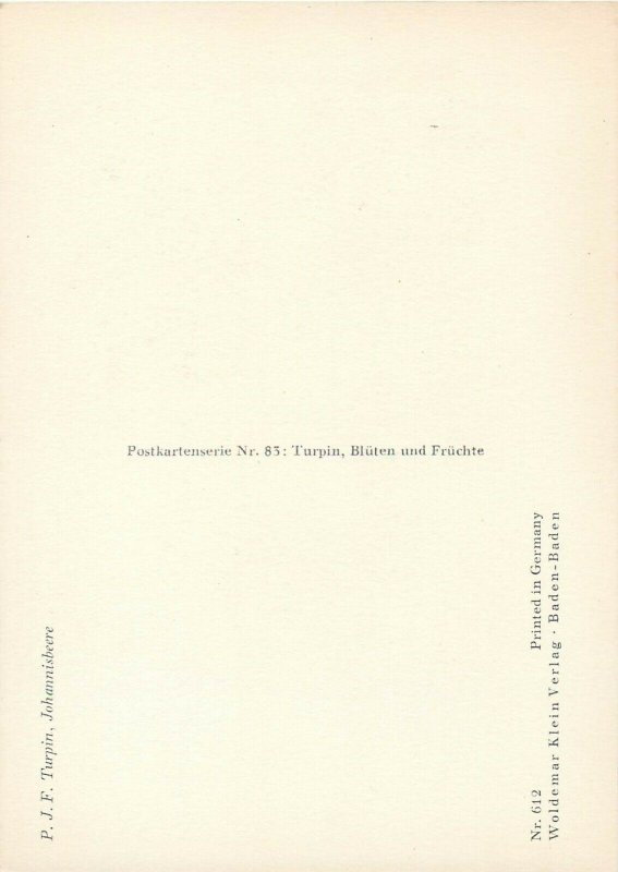 Obst und früchte red currant fruit plant postcard 