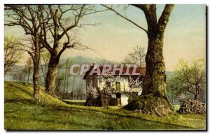 Italia - Italy - Italy - Hanno It Alberi - Old Postcard