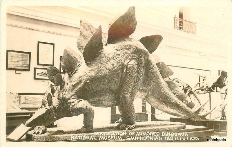 1940s Restoration Armored Dinosaur National Museum Washington DC 2545