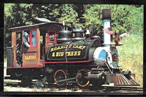 Roaring Camp & Big Trees (RR 457)