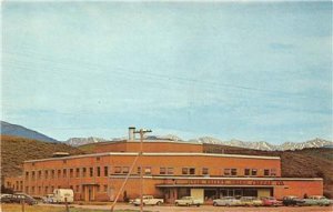 Star Valley Swiss Cheese Company, Thayne, WY Roadside ca 1950s Vintage Postcard