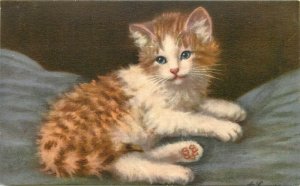 ALMA / Stehli Cat Postcard 169. Sweet Blue Eyed Orange & White Kitten on Blanket