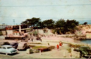 California Pacific Grove Beach Scene 1961