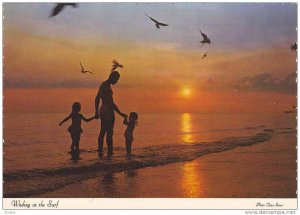 Wading in the Surf, Sunset Along Beach, South Carolina, 50-70´s